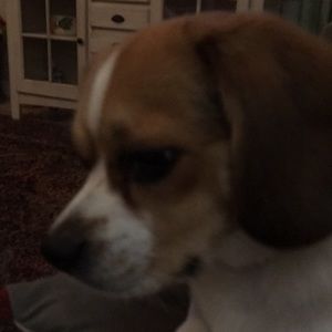 Meet your Posher, Jimmy